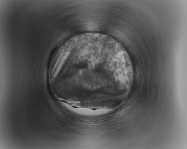 X0000089720542200707201823