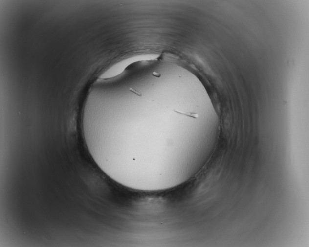 X0000089720543200707201823