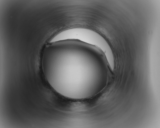 X0000089720544200707201823