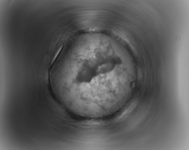 X0000089720545200707201823