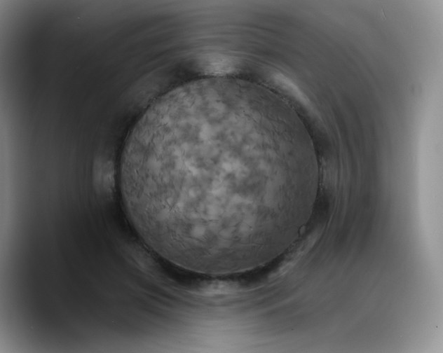 X0000089720549200707201823