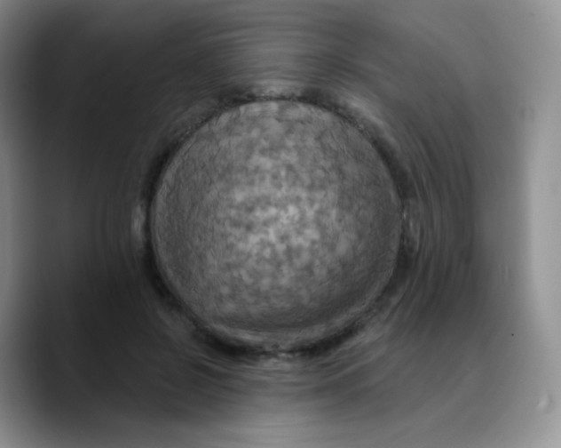 X0000089720550200707201823