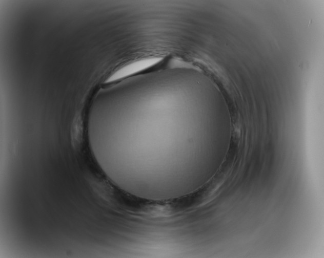 X0000089720552200707201823