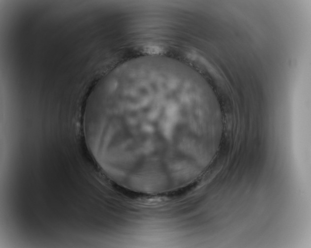 X0000089720553200707201823