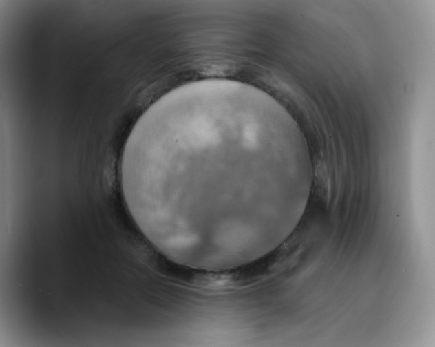 X0000089720554200707201823