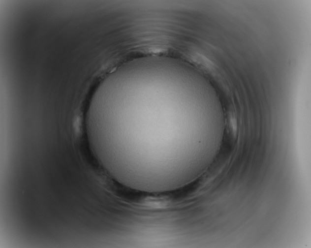 X0000089720556200707201823