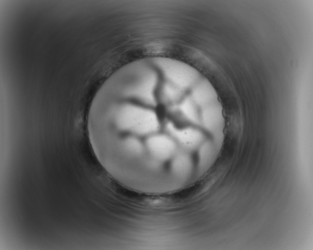 X0000089720557200707201823