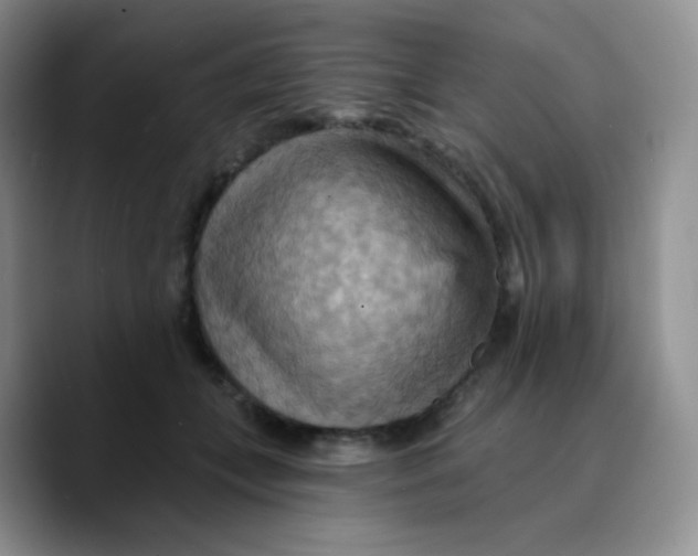 X0000089720559200707201823