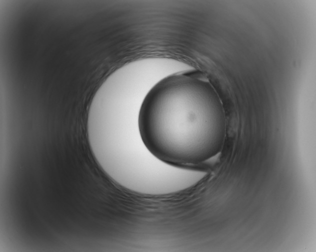 X0000089720560200707201823