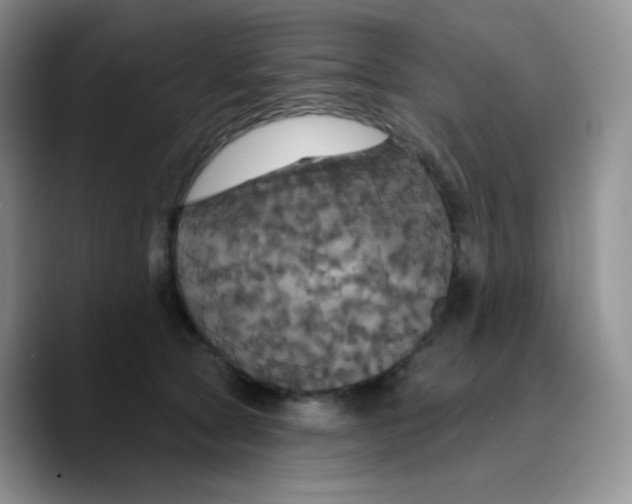 X0000089720561200707201823