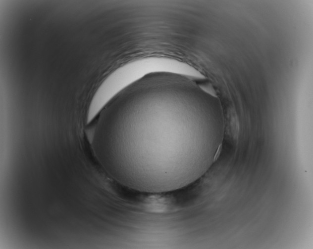 X0000089720562200707201823