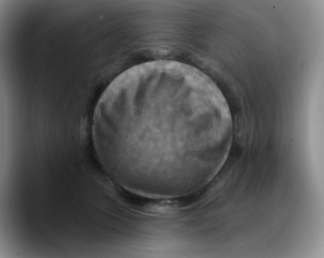X0000089720563200707201823