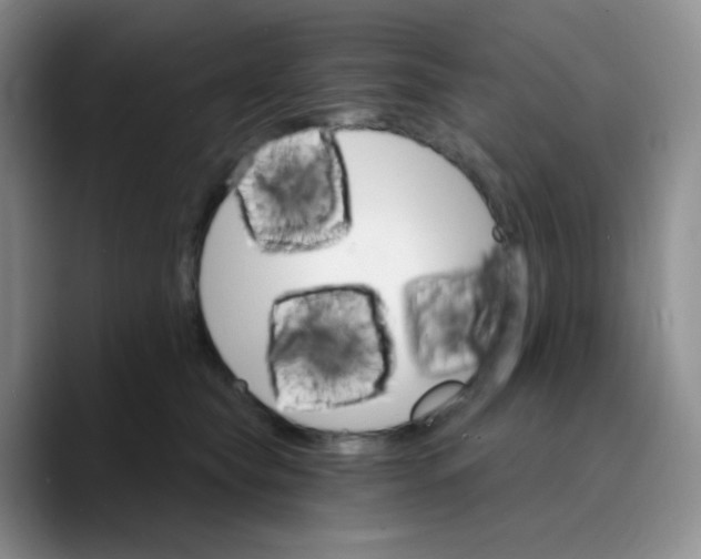 X0000089720565200707201823