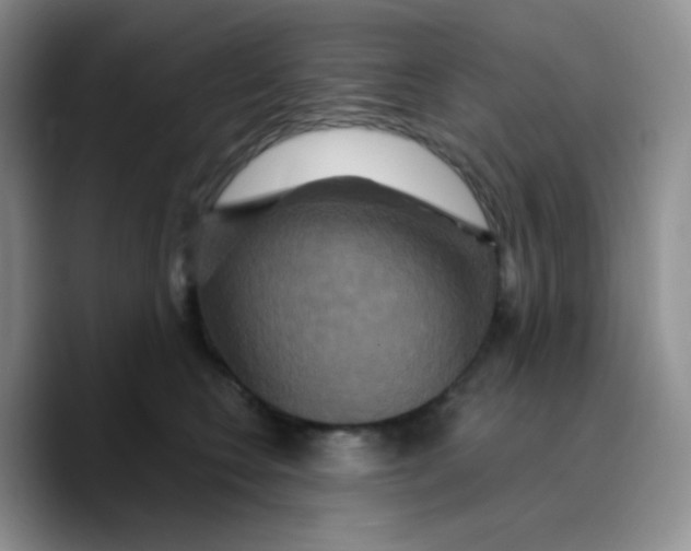 X0000089720566200707201823