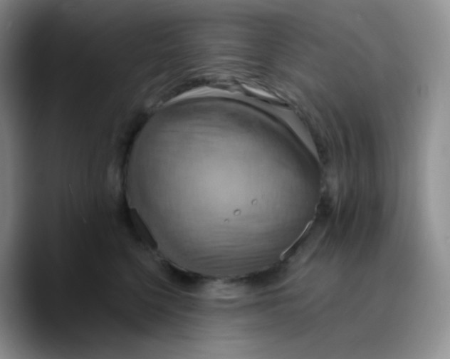 X0000089720568200707201823