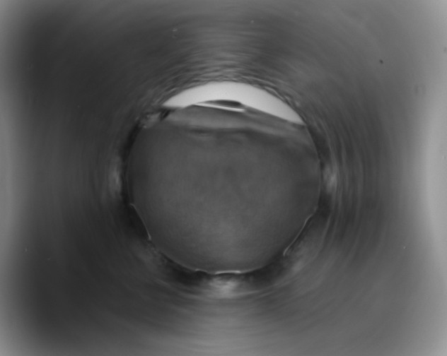 X0000089720570200707201823