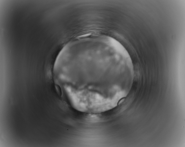 X0000089720573200707201823