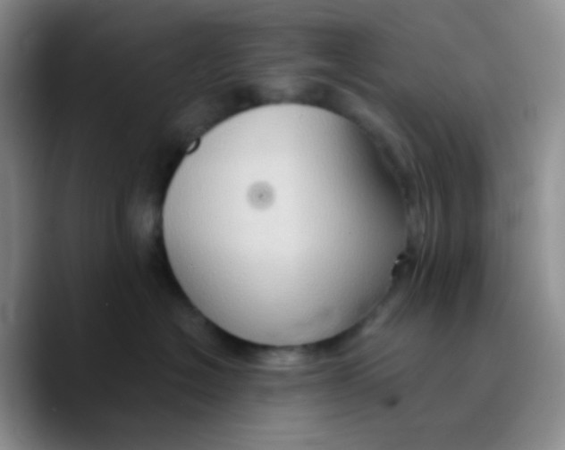 X0000089720574200707201823