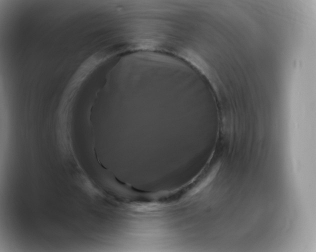 X0000089720577200707201822