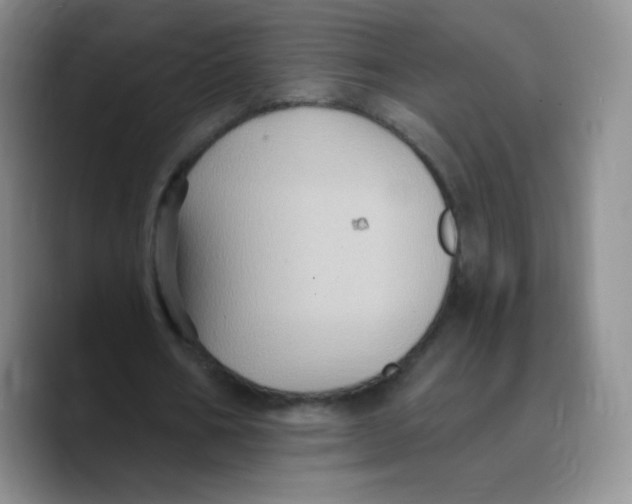X0000089720578200707201822