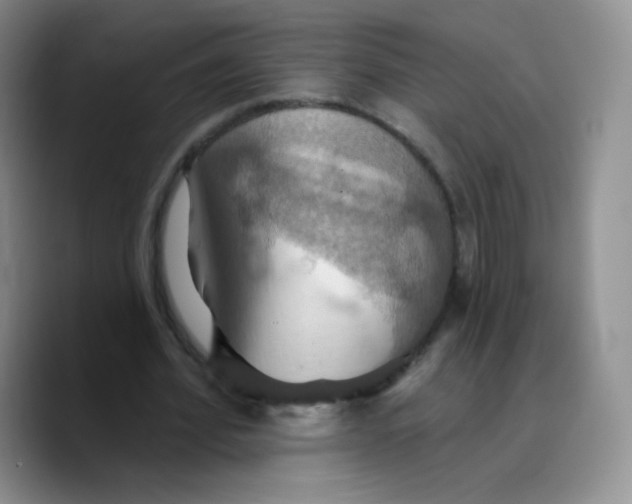 X0000089720580200707201822