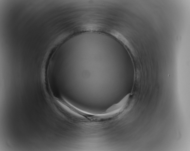 X0000089720581200707201822