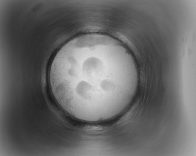 X0000089720582200707201822