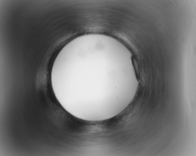 X0000089720583200707201822