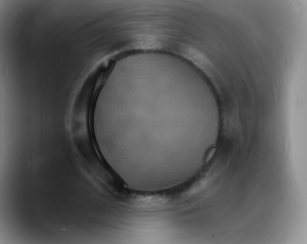 X0000089720584200707201822