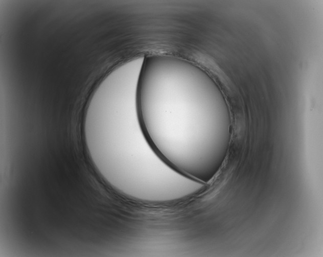 X0000089720585200707201822