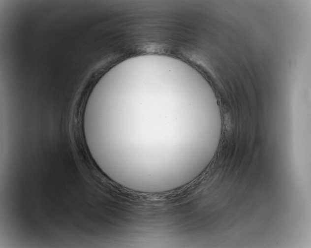 X0000089720587200707201822