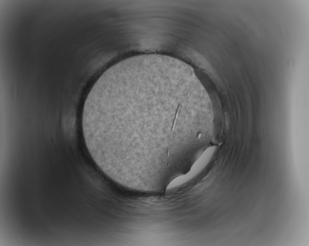 X0000089720588200707201822