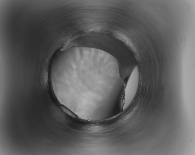 X0000089720589200707201822