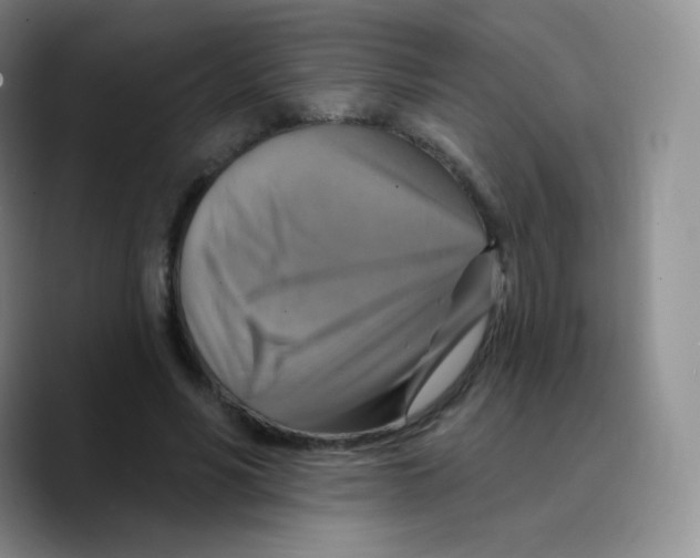 X0000089720590200707201822