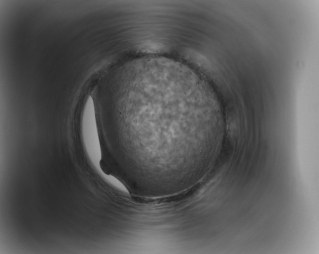X0000089720591200707201822