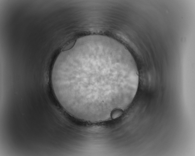 X0000089720593200707201822