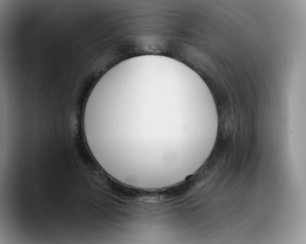 X0000089720595200707201822