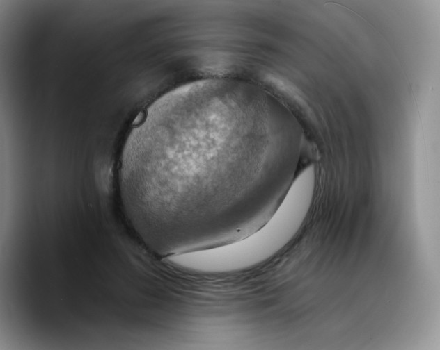 X0000089720596200707201822