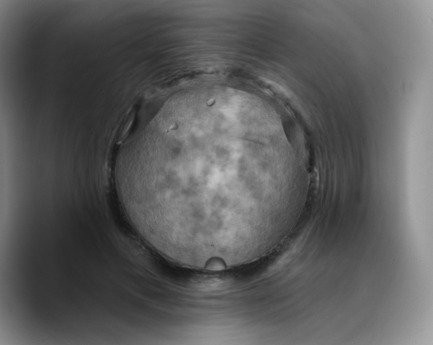 X0000089720597200707201822