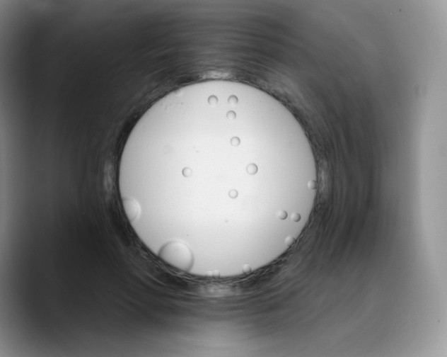 X0000089720598200707201822
