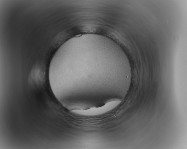 X0000089720600200707201822