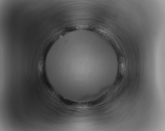 X0000089720604200707201822