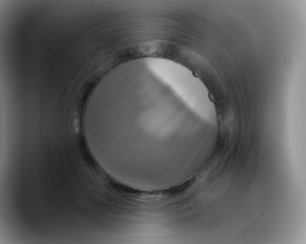 X0000089720606200707201822