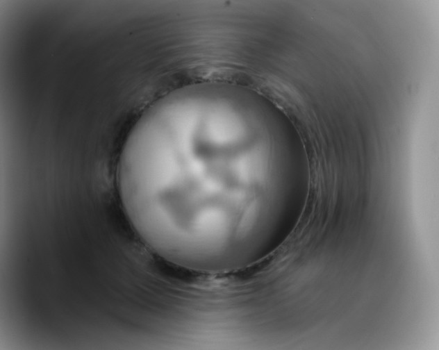 X0000089720607200707201822