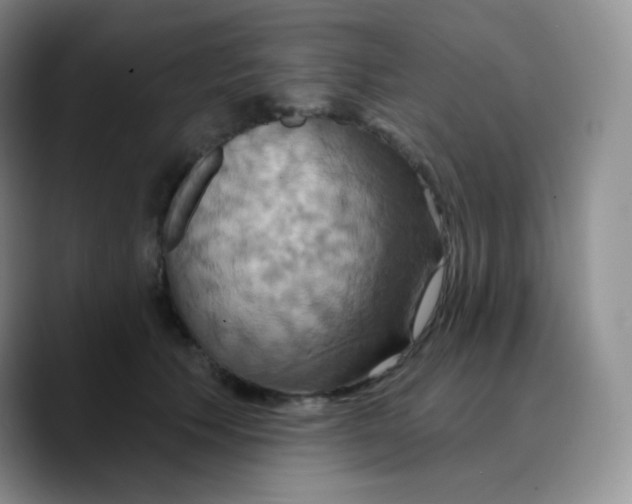 X0000089720609200707201822