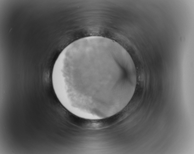 X0000089720610200707201822