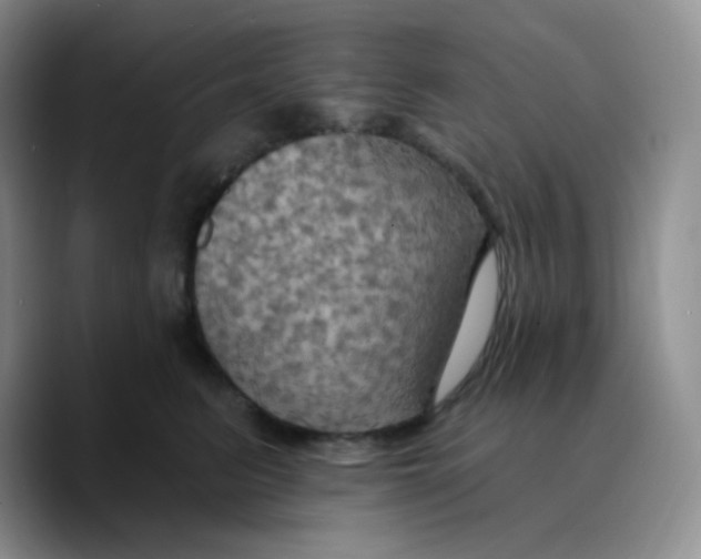 X0000089720615200707201822