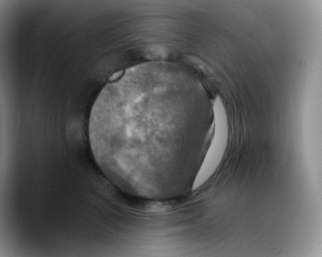 X0000089720616200707201822