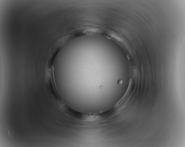 X0000089720621200707201822