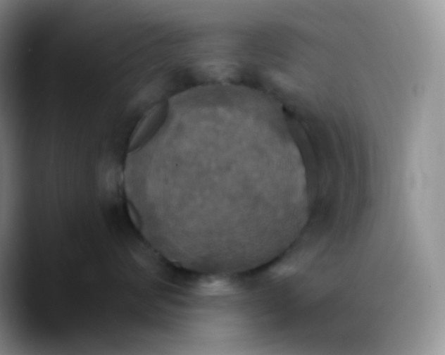 X0000089720624200707201822